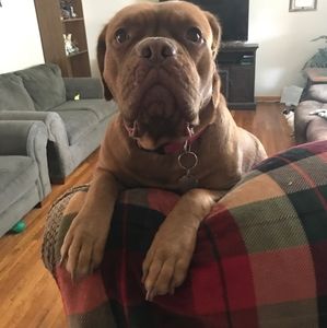 Meet your Posher, Aaron